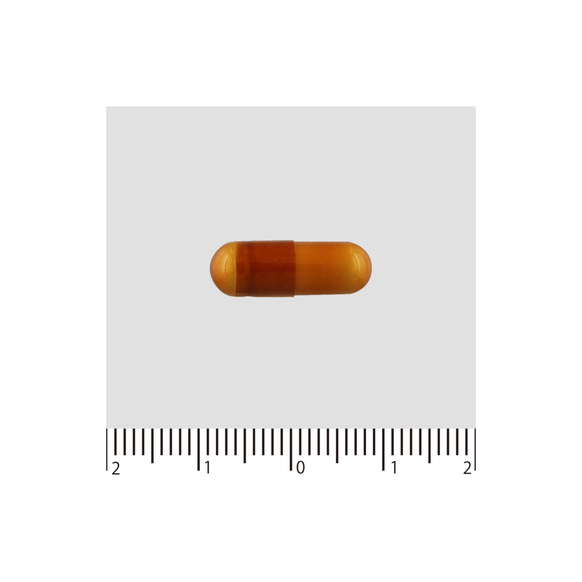 benefits of acetyl l-carnitine and alpha lipoic acid Amazon.com: agobi Acetyl L-Carnitine & Alpha Lipoic Acid Complex 1500mg - Supplement for Brain Health, Memory, Focus & Mood Support - 120 Vegan Capsules for 2 Month Supply benefits of acetyl l-carnitine and alpha lipoic acid Amazon.com: agobi Acetyl L-Carnitine & Alpha Lipoic Acid Complex 1500mg - Supplement for Brain Health, Memory, Focus & Mood Support - 120 Vegan Capsules for 2 Month Supply